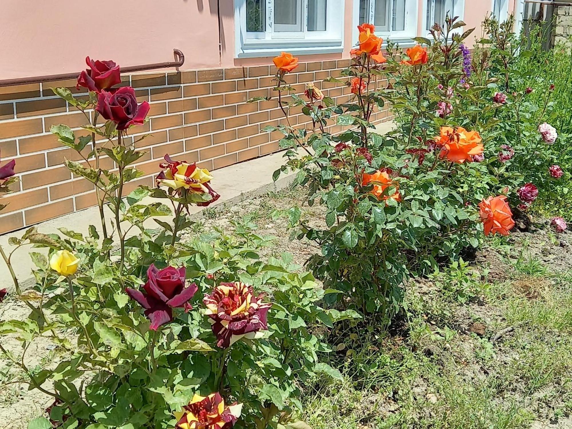 Gusar Holiday home Qusar
